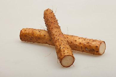 《勇者斗恶龙10》6.2版更新情报 勇者秘史透露